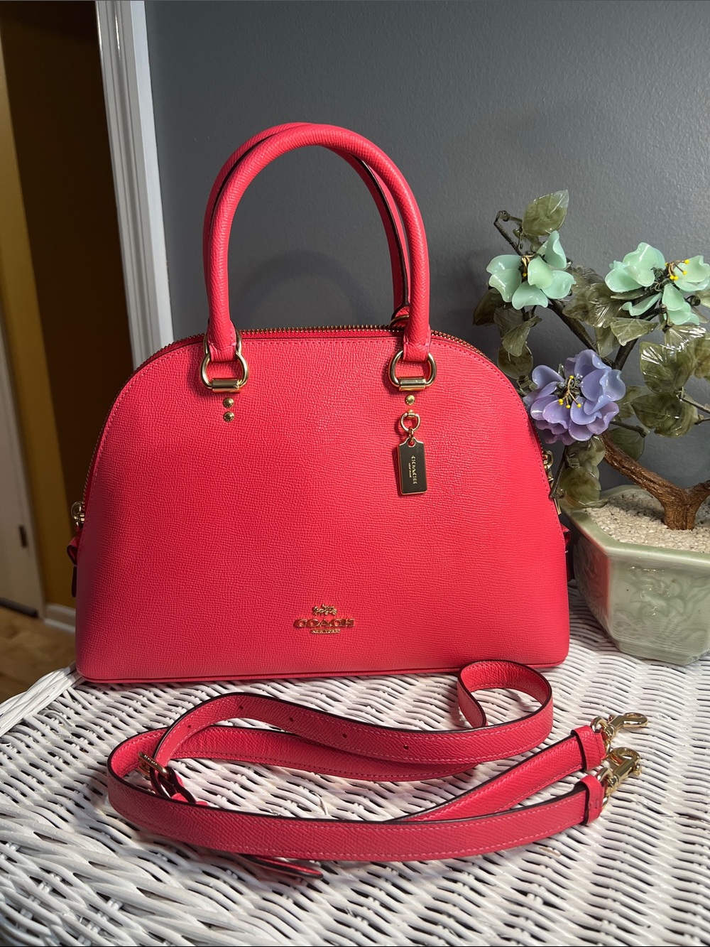 Coach Large Katy Dome Satchel